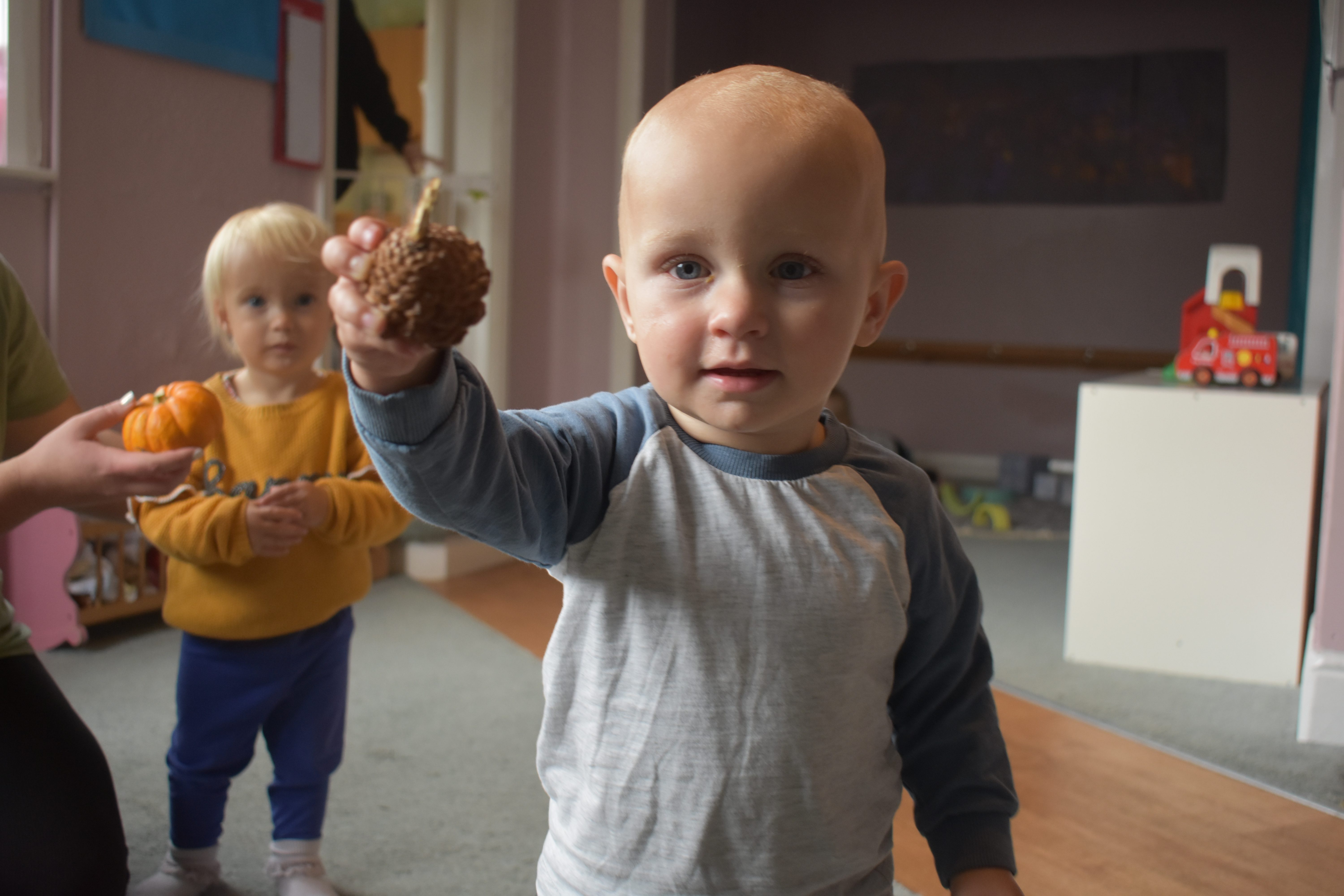 Devon Nurseries in Exeter & Exmouth