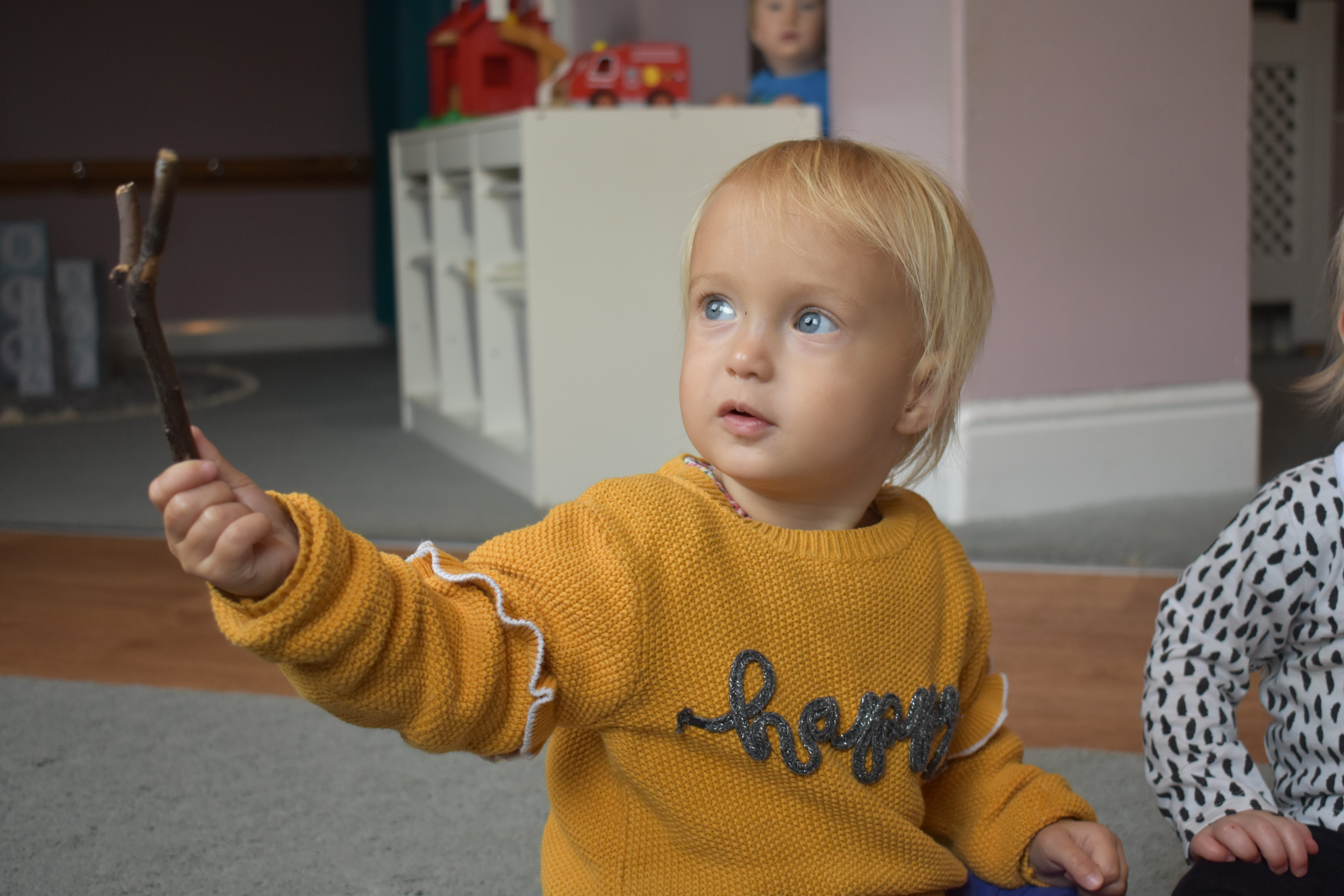 Devon Nurseries in Exeter & Exmouth