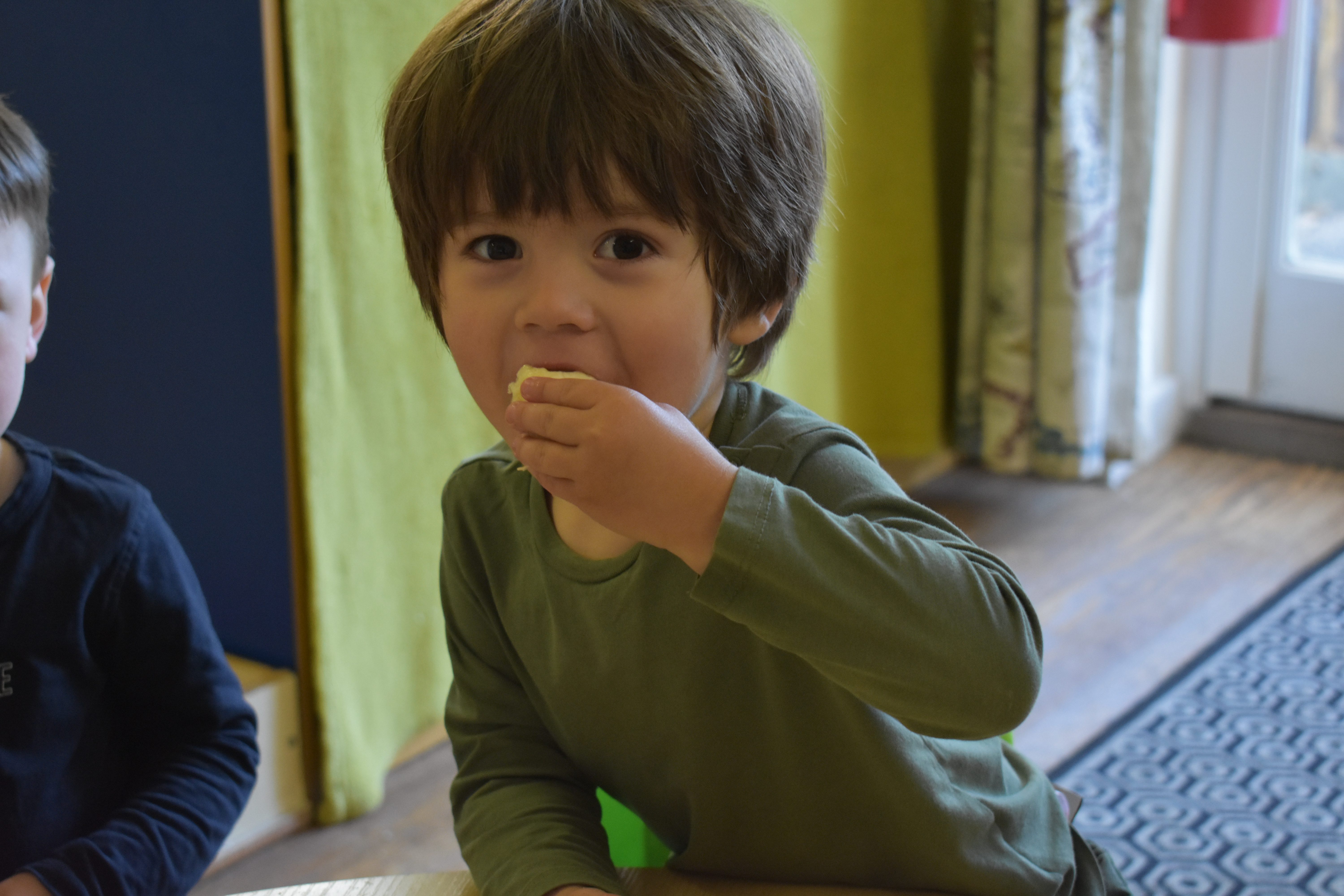 Devon Nurseries in Exeter & Exmouth